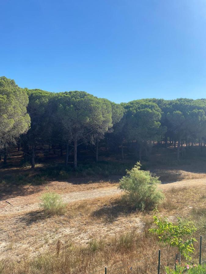 Studio Cabine Mer Et Pinede 26M2: 4Pers, Neuf, Cosy La Grande Motte Exterior photo